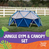 Jungle Gym & Canopy Set
