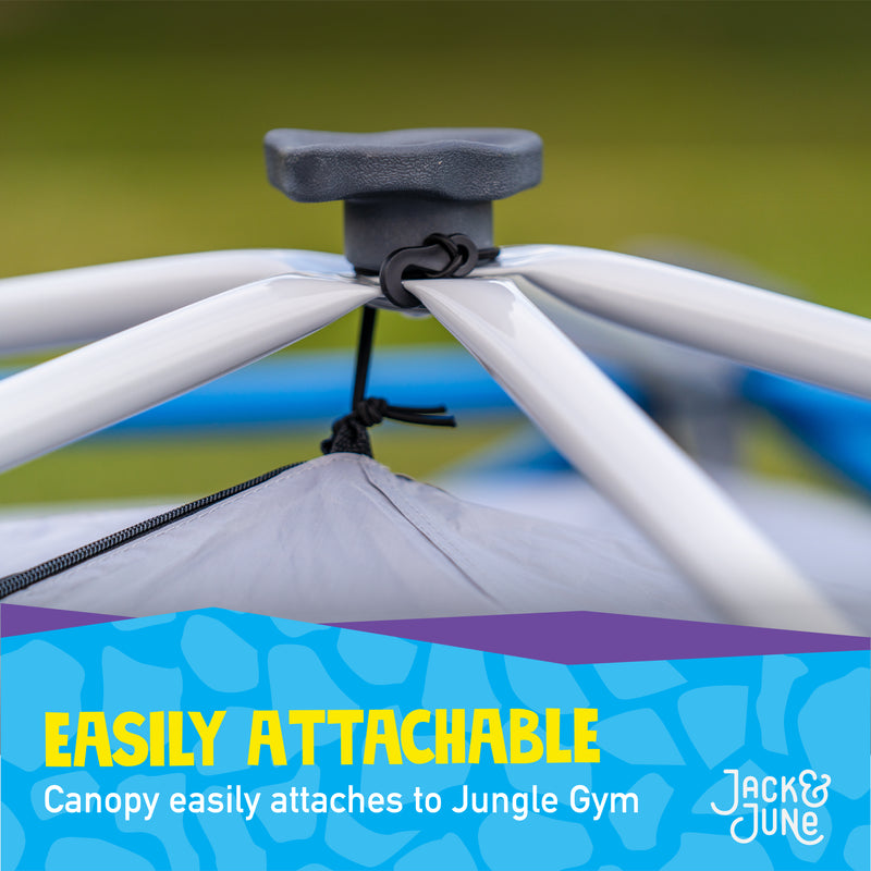 Jungle Gym Cover