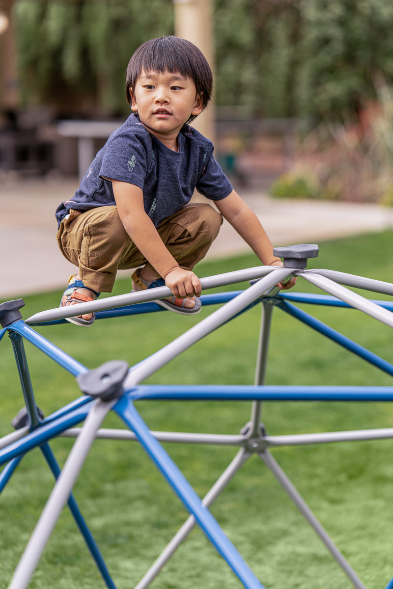 Jungle Gym
