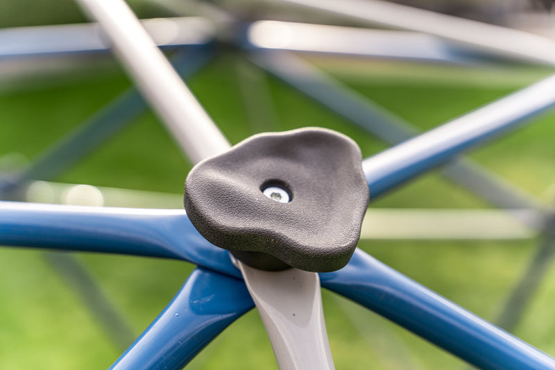Jungle Gym