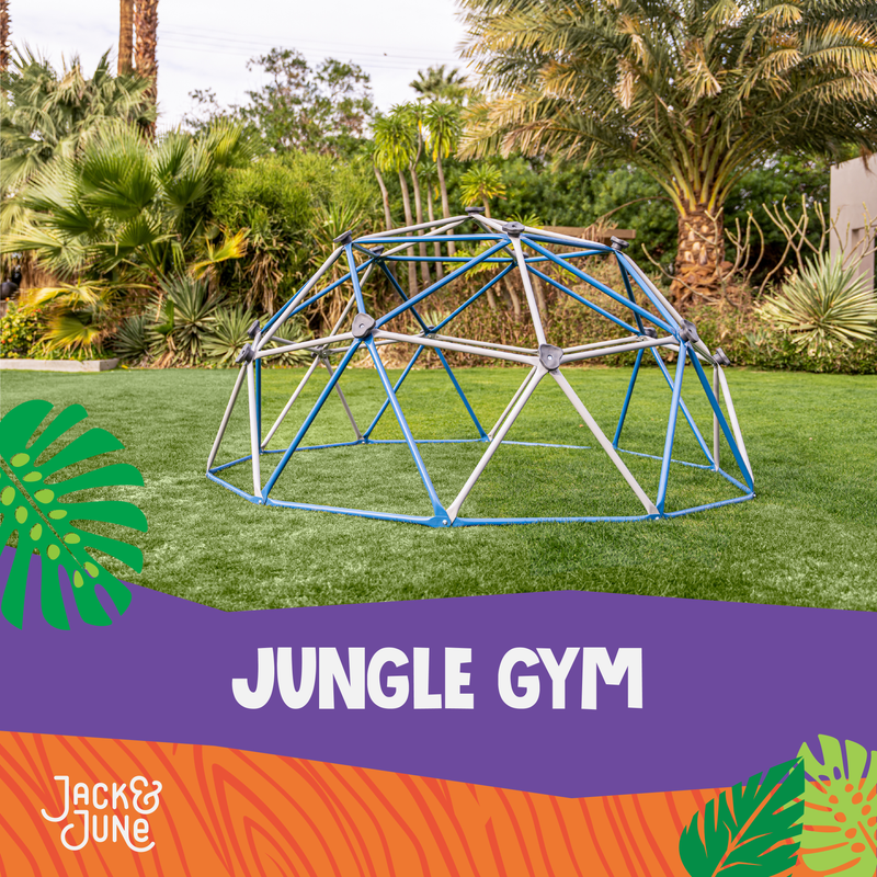 Jack and June Jungle Gym - Backyard Climbing Structures jungle gyms outdoor jungle gym